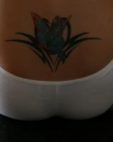 Abby Winters - 24-036