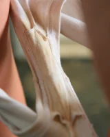 Abby Winters - 52-tara_m052